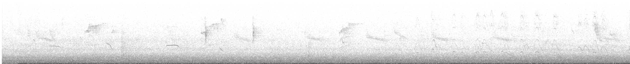 アメリカヒドリ - ML645631258