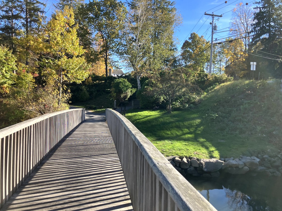 シチメンチョウ - ML645631451