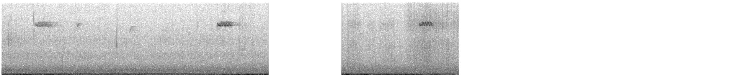 Brown Creeper - ML645631470