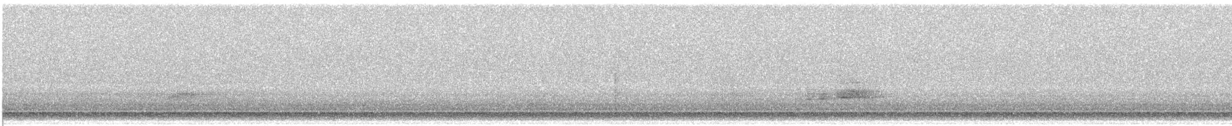 Virginia Rail - ML645631549