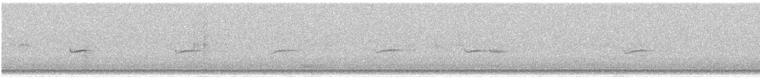 Wiesenstrandläufer - ML645631997