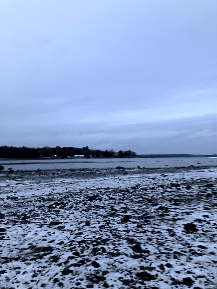 Basahatea - ML645632695