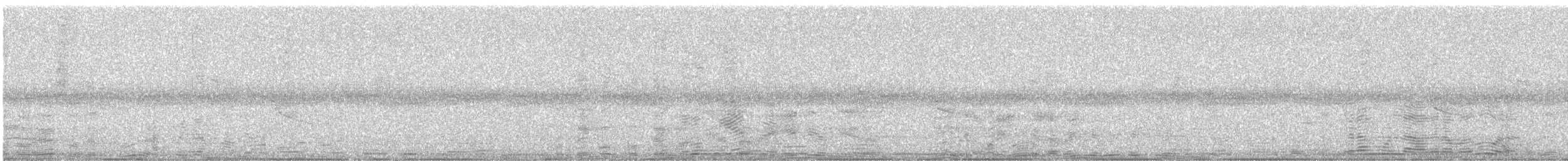 Гіла золотоголова - ML645632749