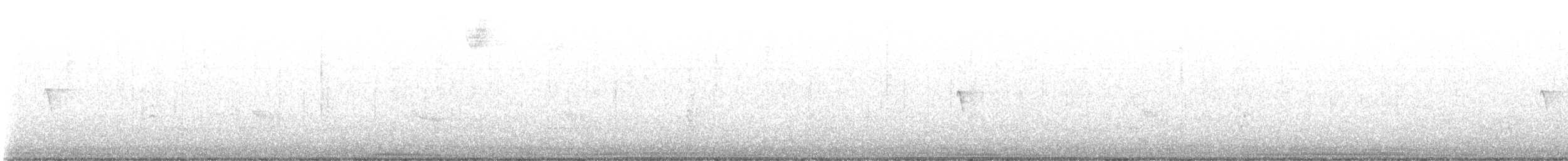 Black Phoebe - ML645632807