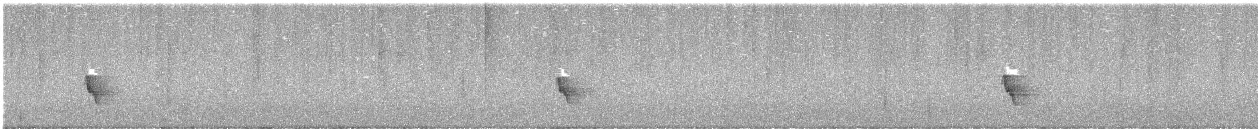 Wulsthonigfresser - ML645632829