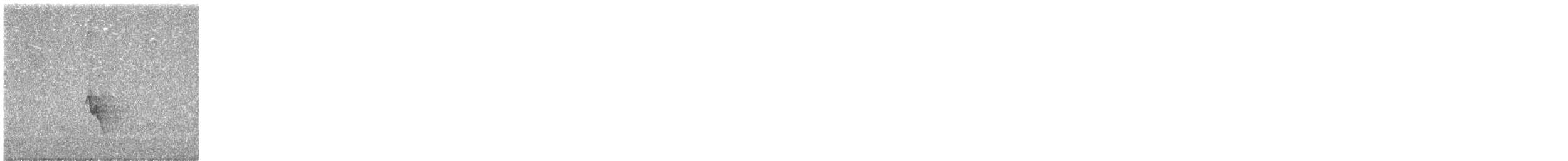 Wulsthonigfresser - ML645632831