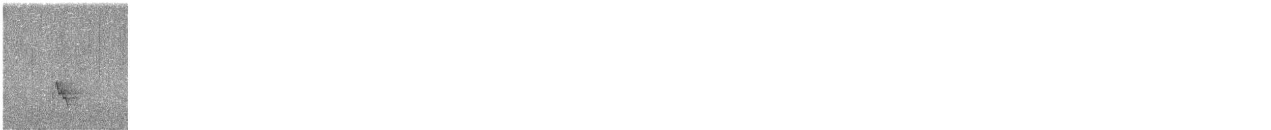 Wulsthonigfresser - ML645632832