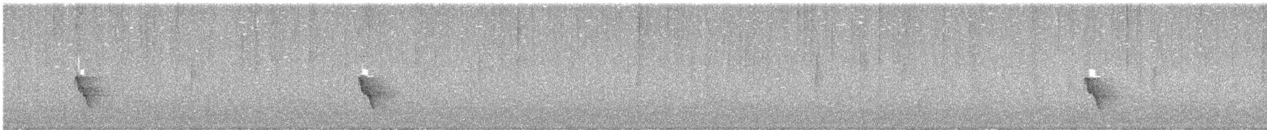 Wulsthonigfresser - ML645632969