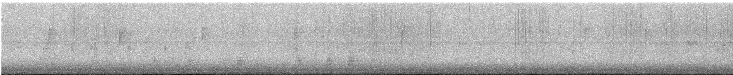 Stockente - ML645633259