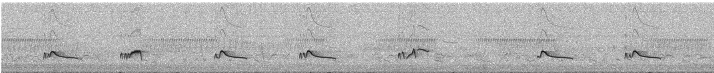 Say's Phoebe - ML645633946