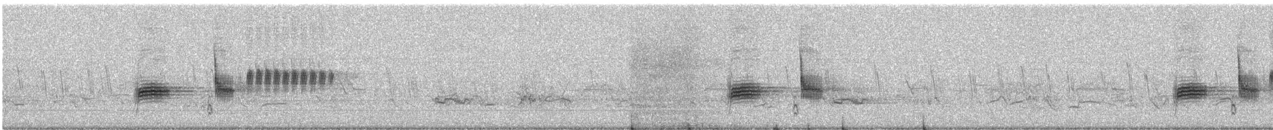 Spotted Towhee - ML645633956