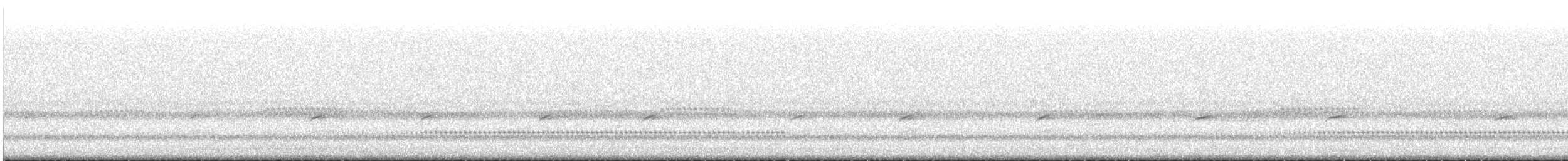 Swainson's Thrush - ML645634290