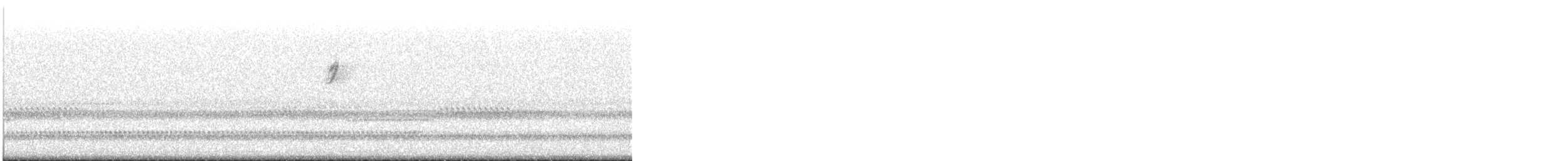 new world warbler sp. - ML645634341