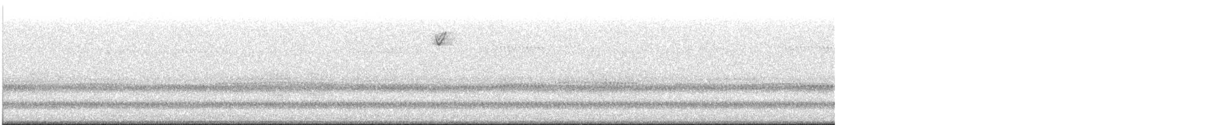 new world sparrow sp. - ML645634347