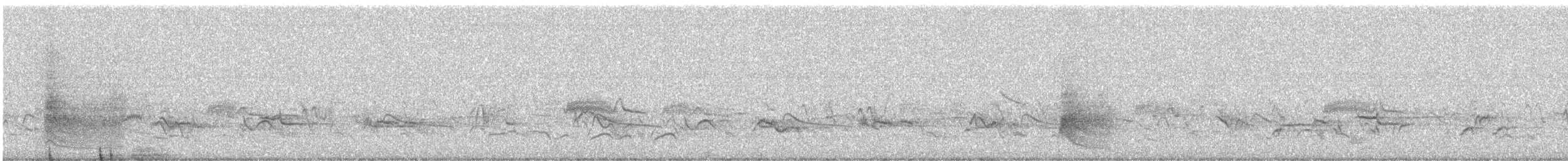 Northern Mockingbird - ML645635301