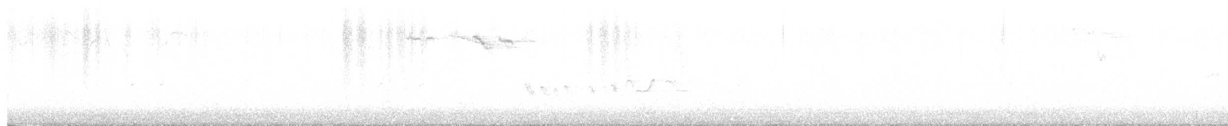 vrána šedá - ML645635589