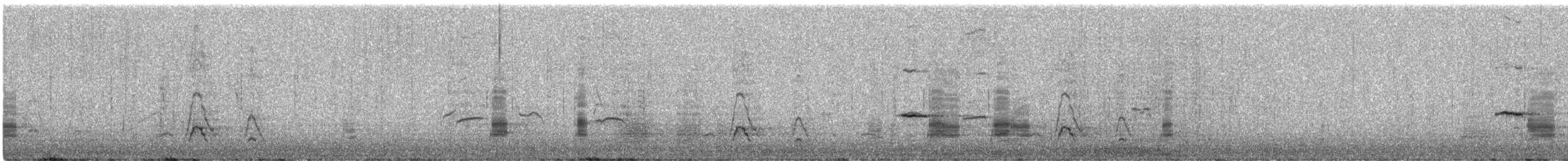 kopřivka obecná - ML645636179