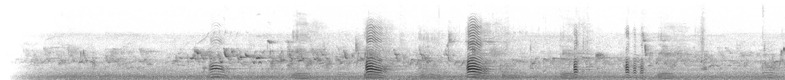 Paita australiarra - ML645636318