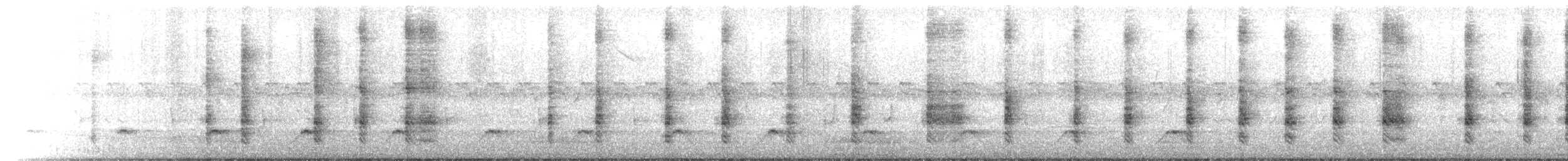 Bubú Tropical - ML645636533