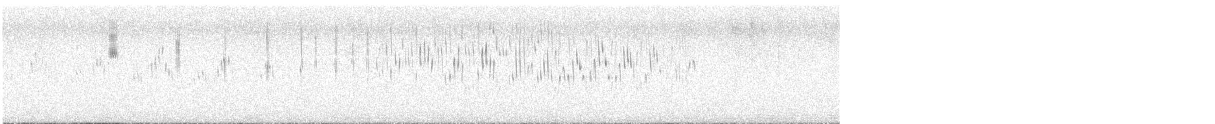 White-winged Fairywren - ML645636580