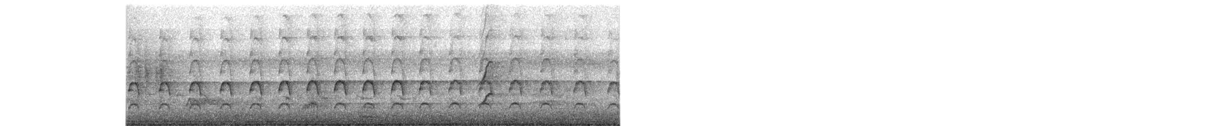 Brown Goshawk - ML645636659