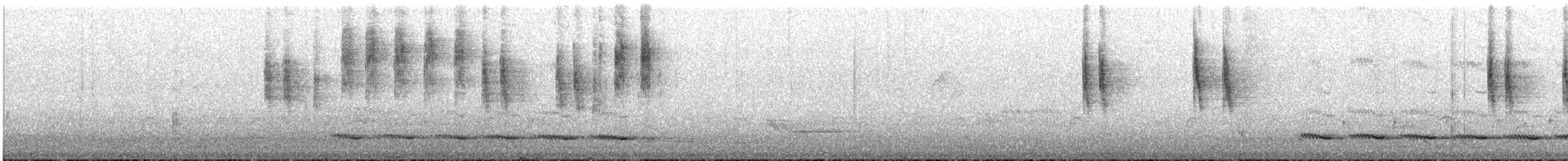 Spiny-cheeked Honeyeater - ML645636798