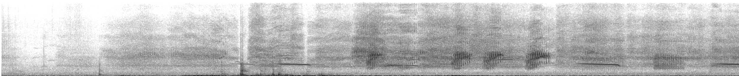 White-winged Chough - ML645636897