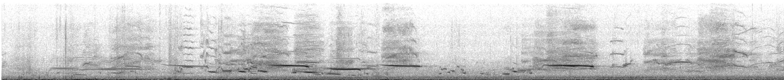 White-winged Chough - ML645636898