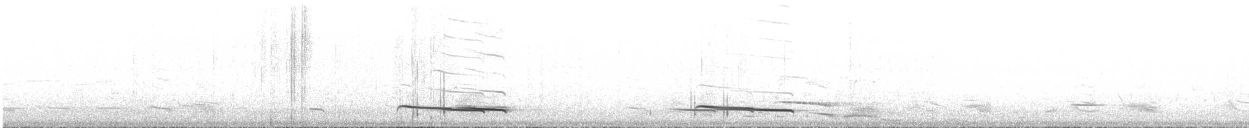 White-winged Chough - ML645636899