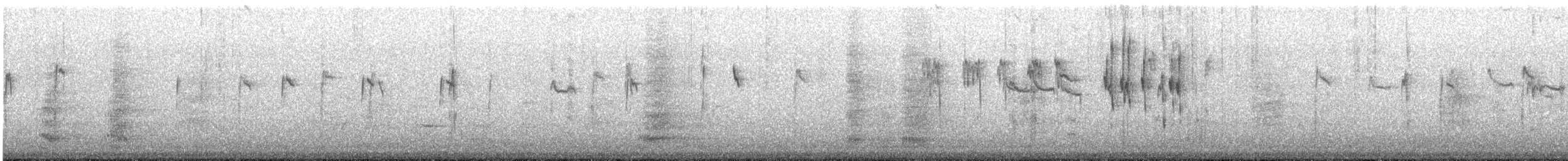 Değişken Renkli Sıvacı (pileata) - ML645637084