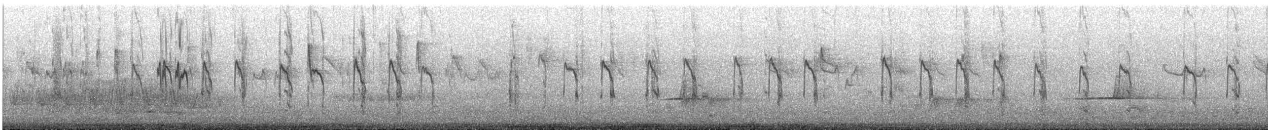 Değişken Renkli Sıvacı (pileata) - ML645637122