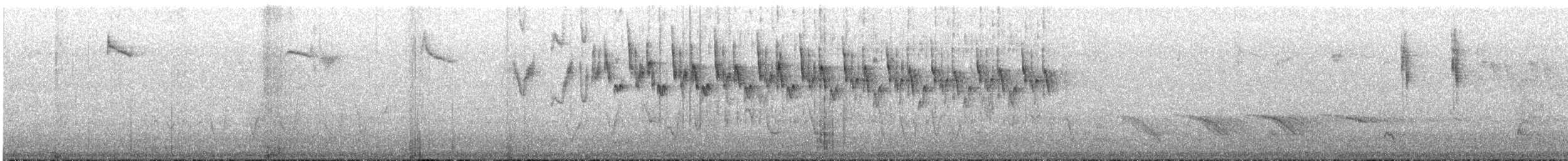 Mavi Sırtlı Peribülbülü (assimilis/bernieri) - ML645637128