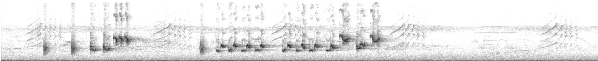 Avustralya Kamışçını - ML645637192