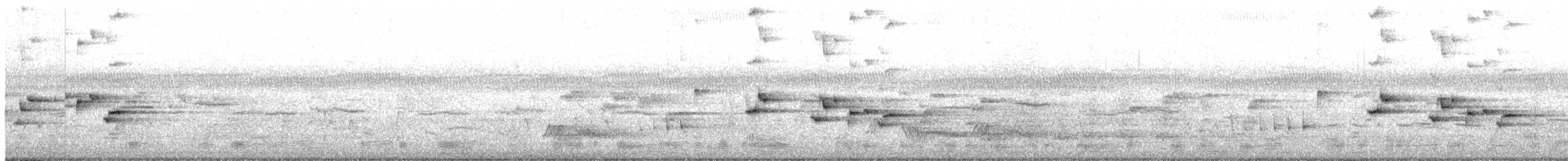 Willie-wagtail - ML645637534