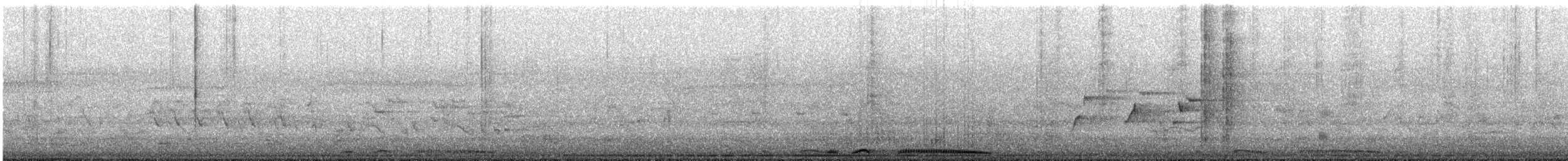 Spotted Dove - ML645637577