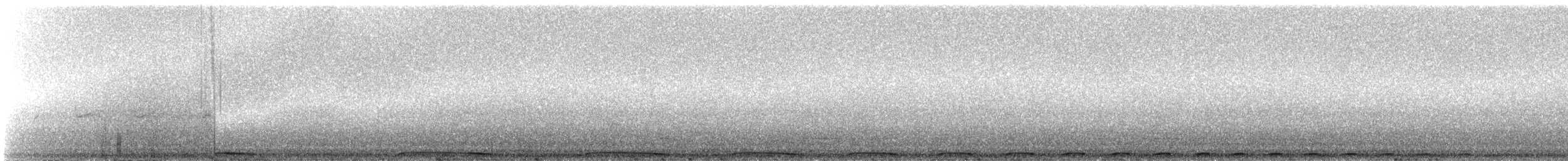 White-capped Fruit-Dove - ML645637608