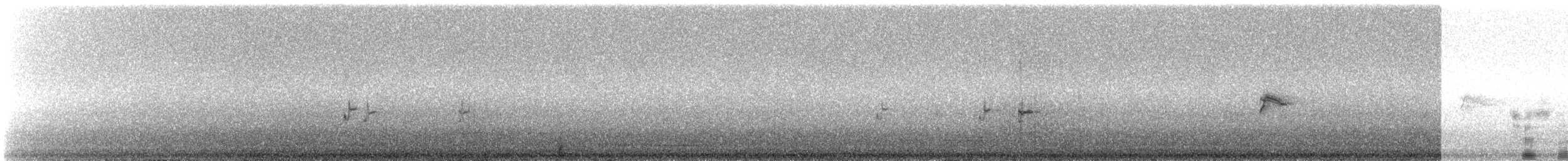 Chestnut-breasted Munia - ML645637649