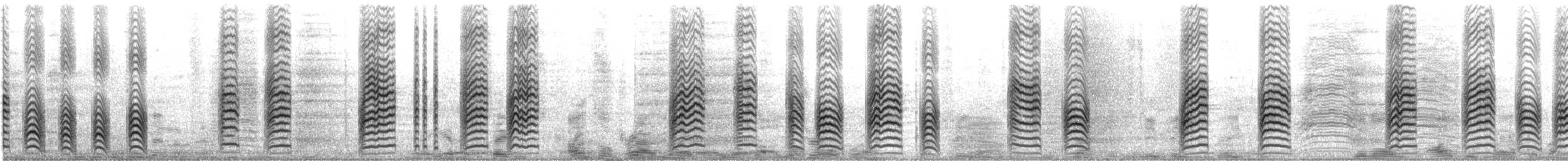 Northern Brownbul - ML645637698