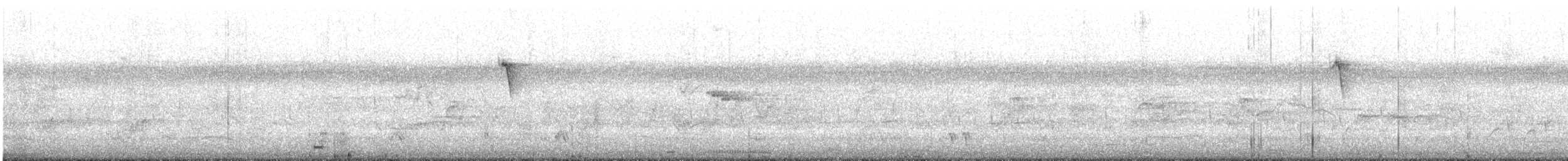 Buff-banded Rail - ML645637733