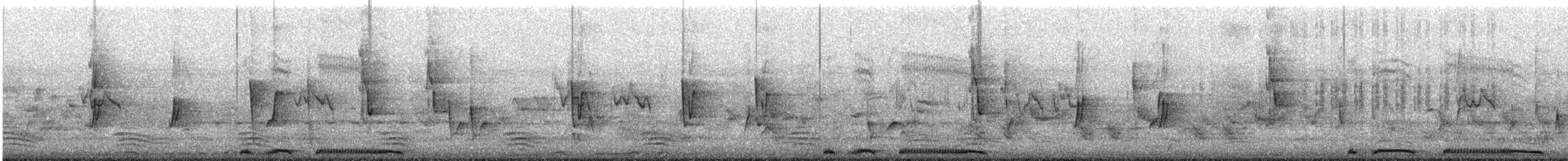 Spotted Dove - ML645637750