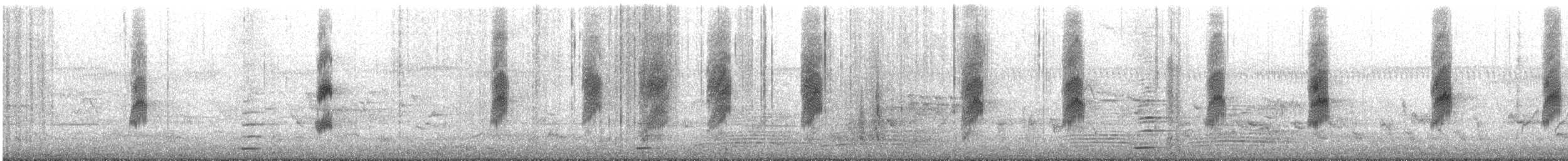 Red Wattlebird - ML645637753