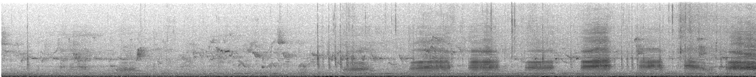 Australian Raven - ML645637767