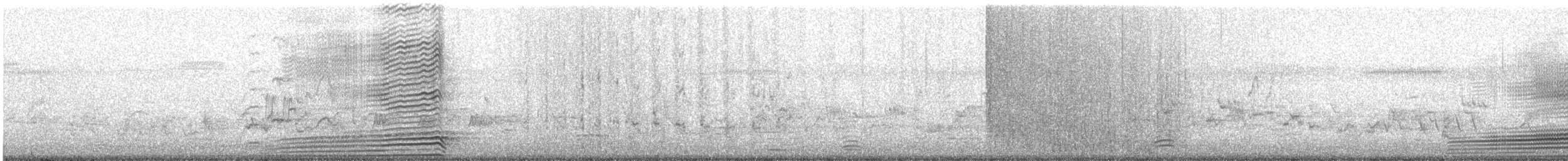 Maned Duck - ML645637801