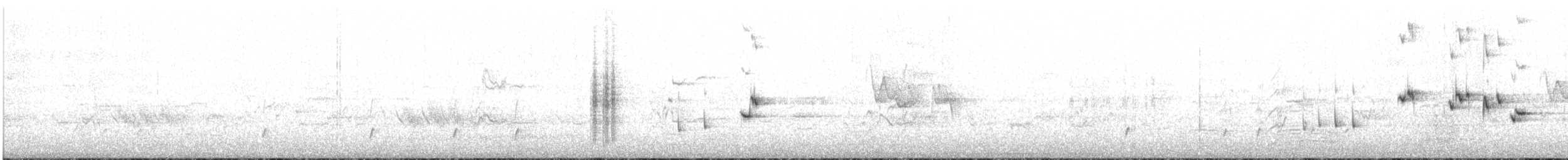 Willie-wagtail - ML645637808