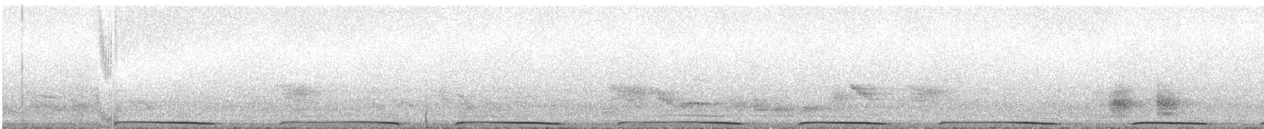 White-capped Fruit-Dove - ML645637824