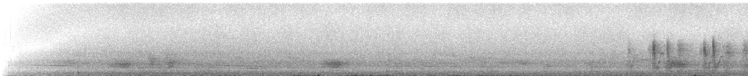 Little White-Tern - ML645637846