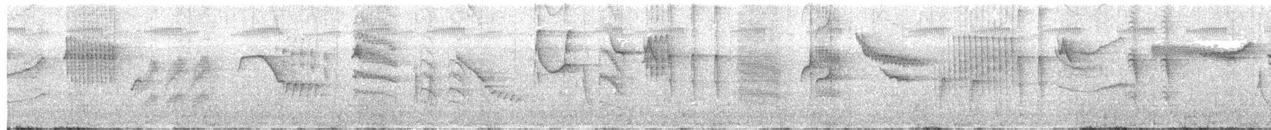 Cassin's Flycatcher - ML645637966