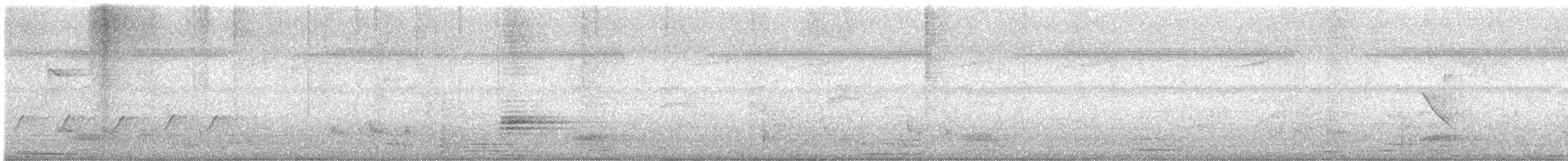 Couturière à longue queue - ML645638054