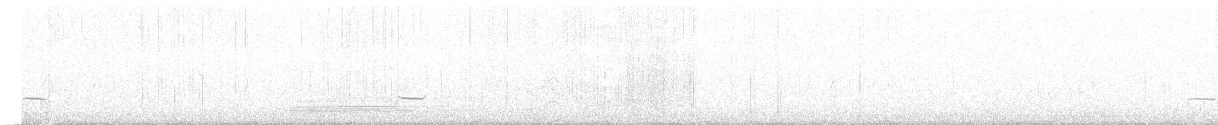 Сивка звичайна - ML645638401