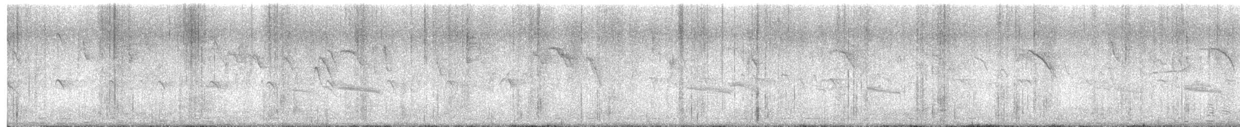 Anteojitos Oriental - ML645638641